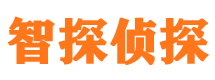 六安市侦探调查公司